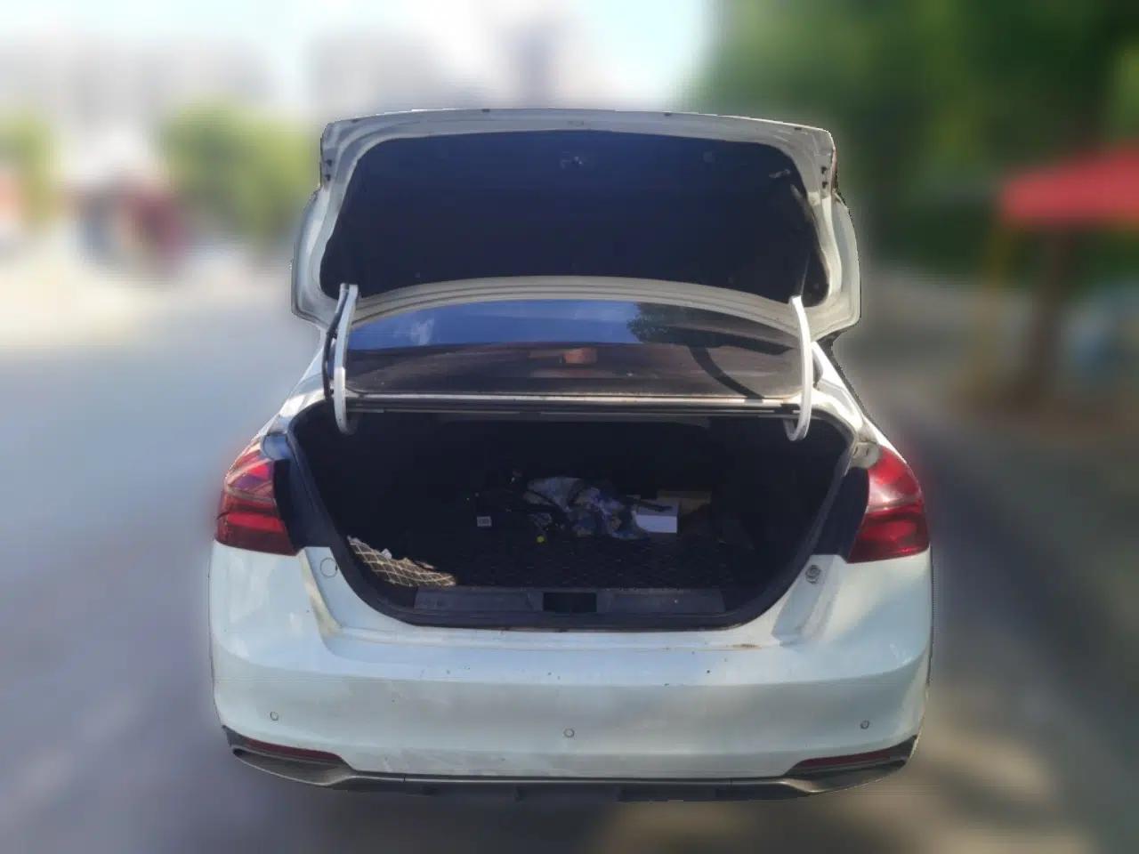 Geely Auto Emgrand New Energy 2018 EV450 Elite Model — миниатюра 19