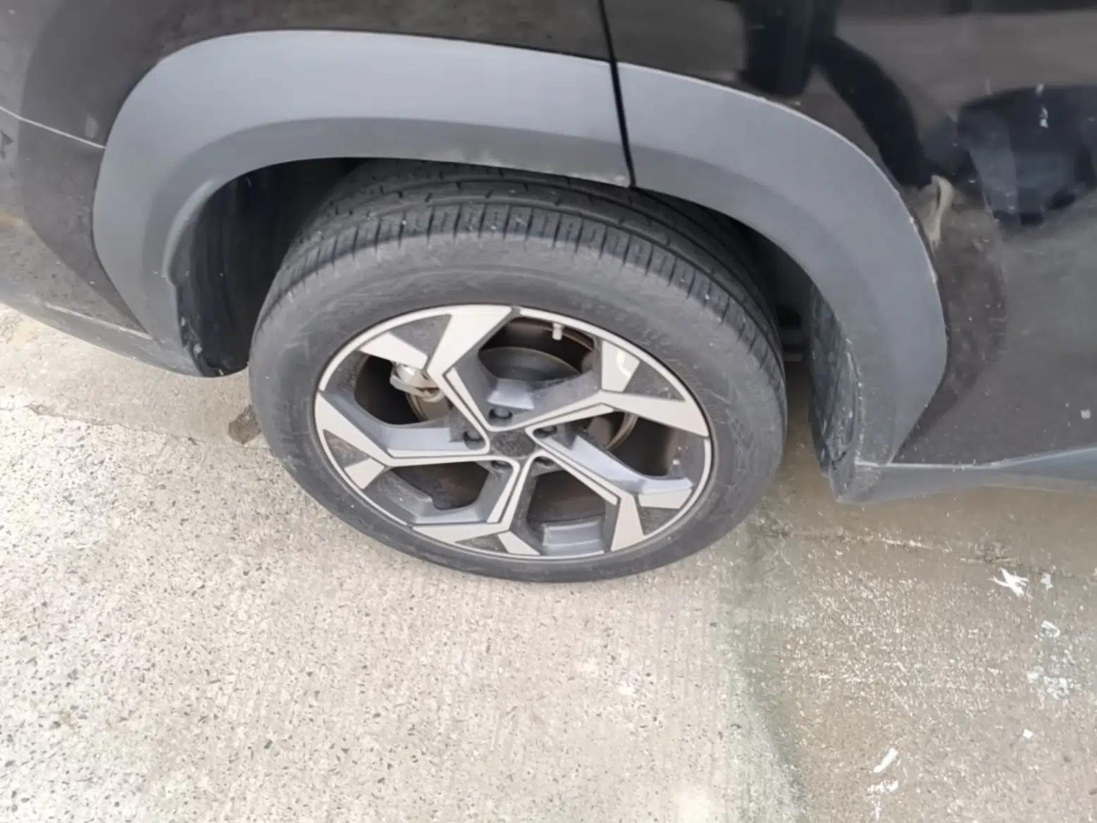 Geely Auto FX11 2023 1.5TD DCT Glory Edition — миниатюра 11