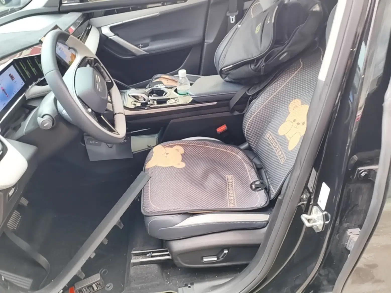 Geely Auto FX11 2023 1.5TD DCT Glory Edition — миниатюра 17