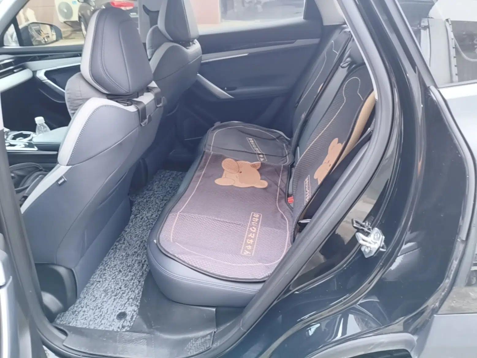 Geely Auto FX11 2023 1.5TD DCT Glory Edition — миниатюра 20