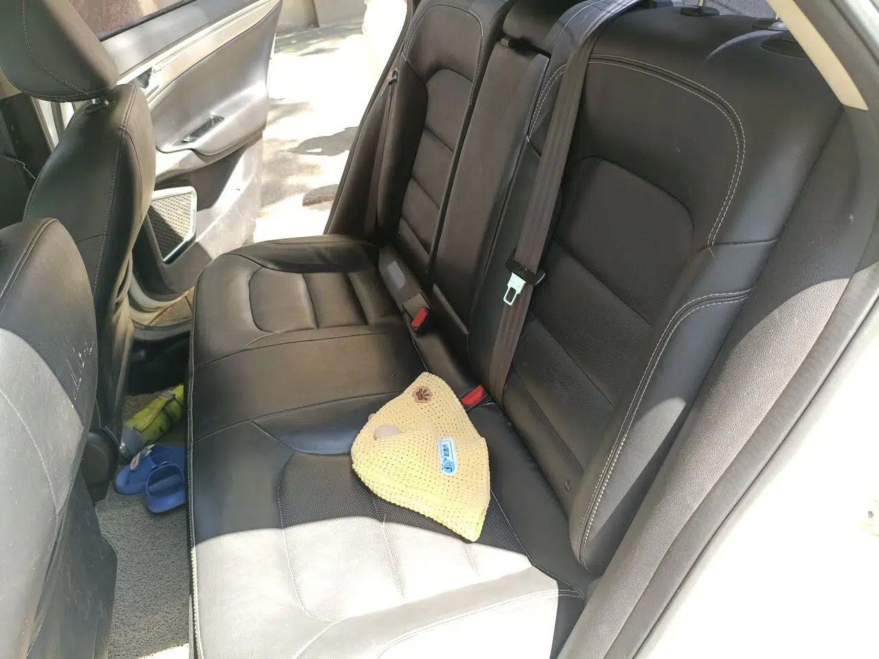 Geely Auto Emgrand GL 2017 1.8L Manual Elite Model — миниатюра 14