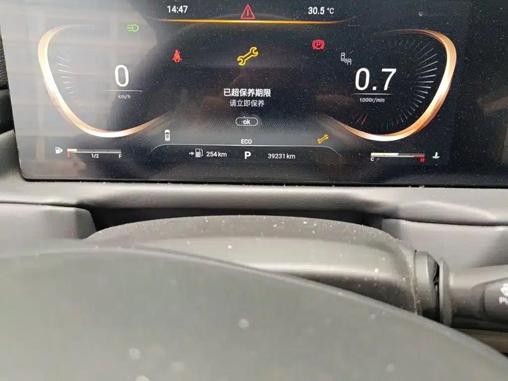 Exeed Soaring 2021 290T 2WD Star Edition — миниатюра 13