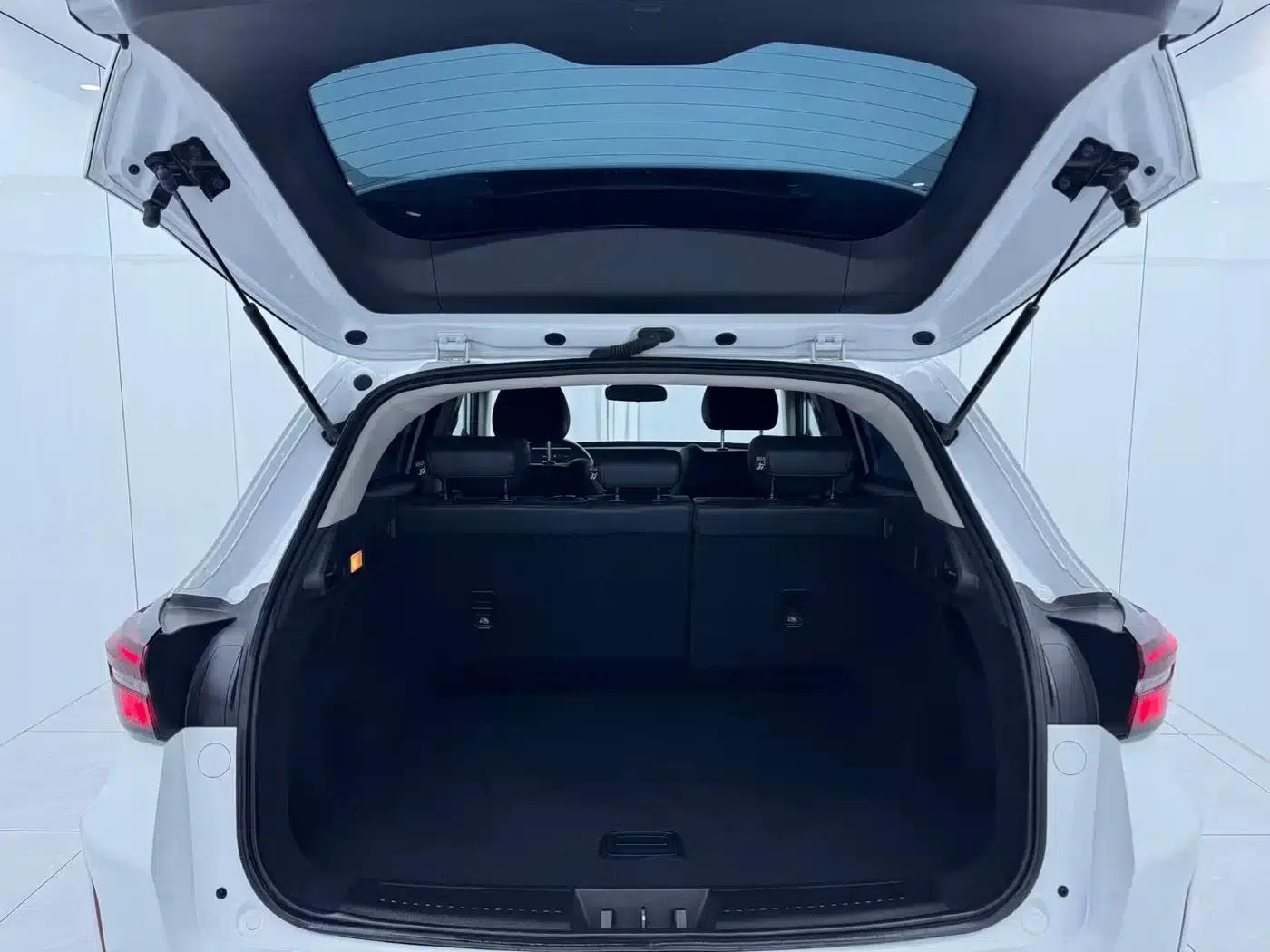Star Chaser 2022 Wind Chaser Edition 1.5T CVT Wind Chaser — миниатюра 15