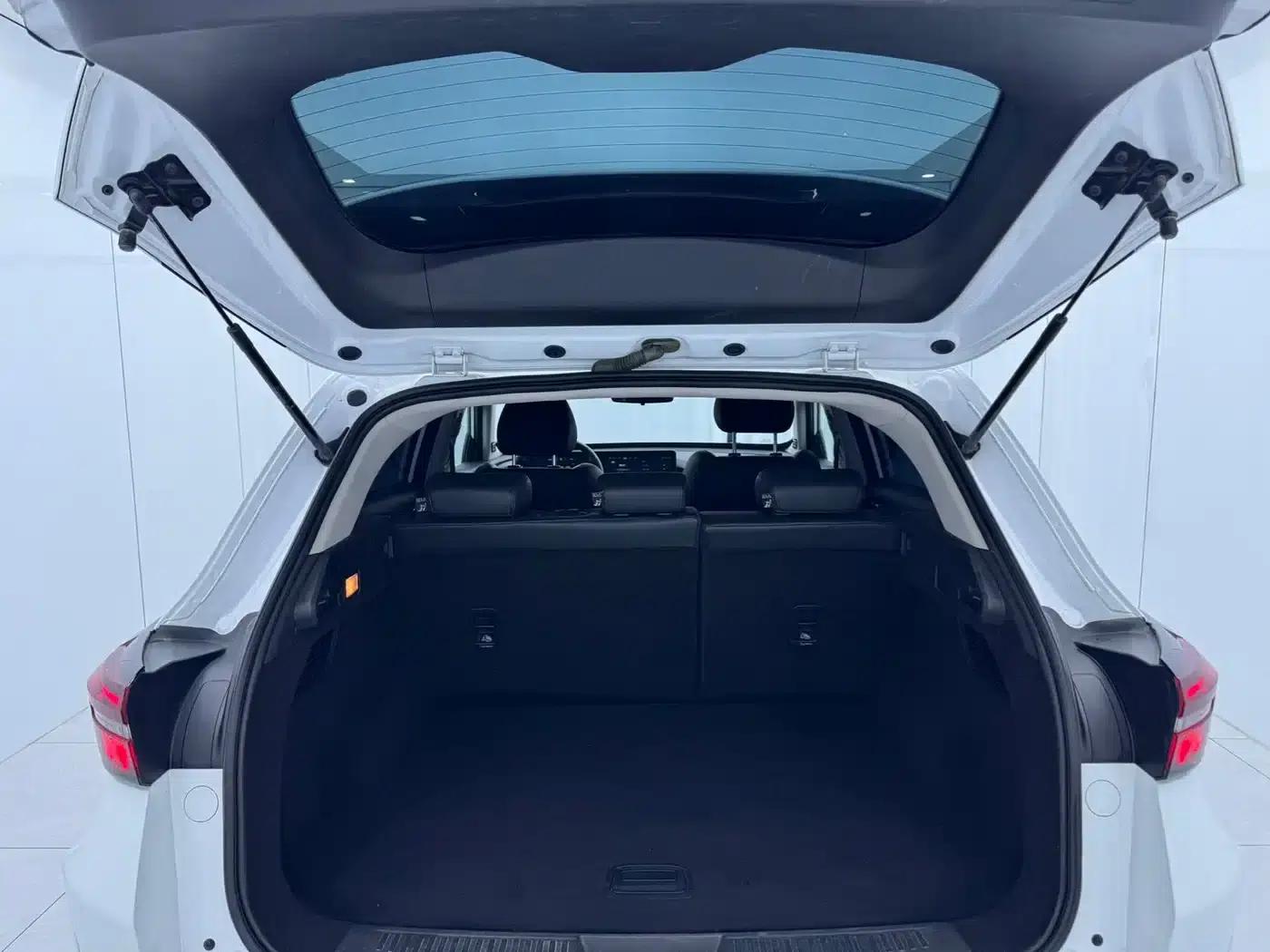 Star Chaser 2022 Wind Chaser Edition 1.5T CVT Wind Chaser — миниатюра 14