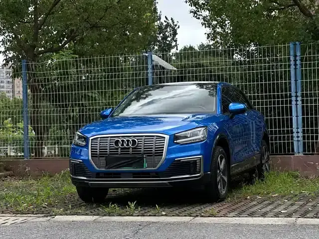 2019 Audi Q2L e-tron Pure Electric Smart Edition