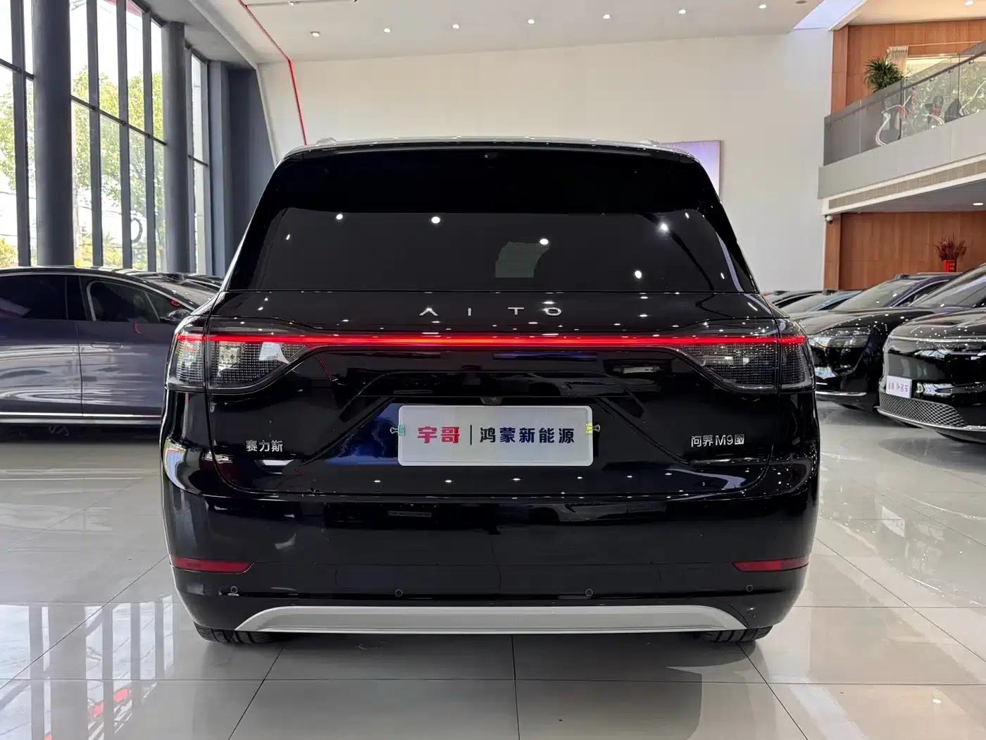 Wenjie M9 2024 Pure Electric Max Edition 100kWh 6-Seater — миниатюра 16