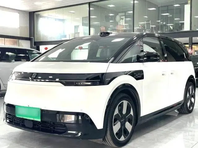 Zeekr MIX 2025 Intelligent Driving Version
