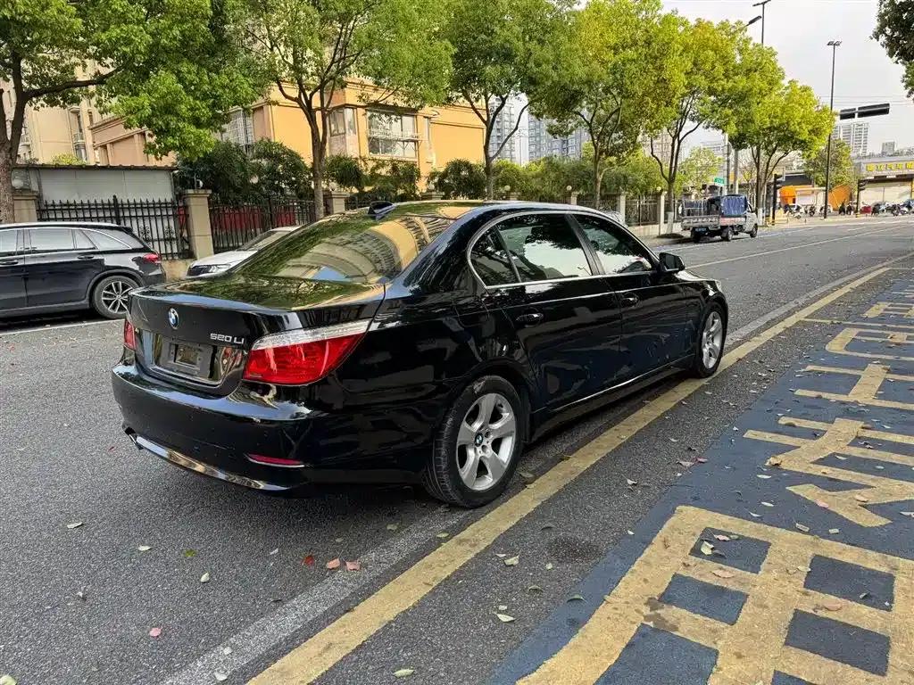 BMW 5 Series 2010 520Li Luxury — миниатюра 6