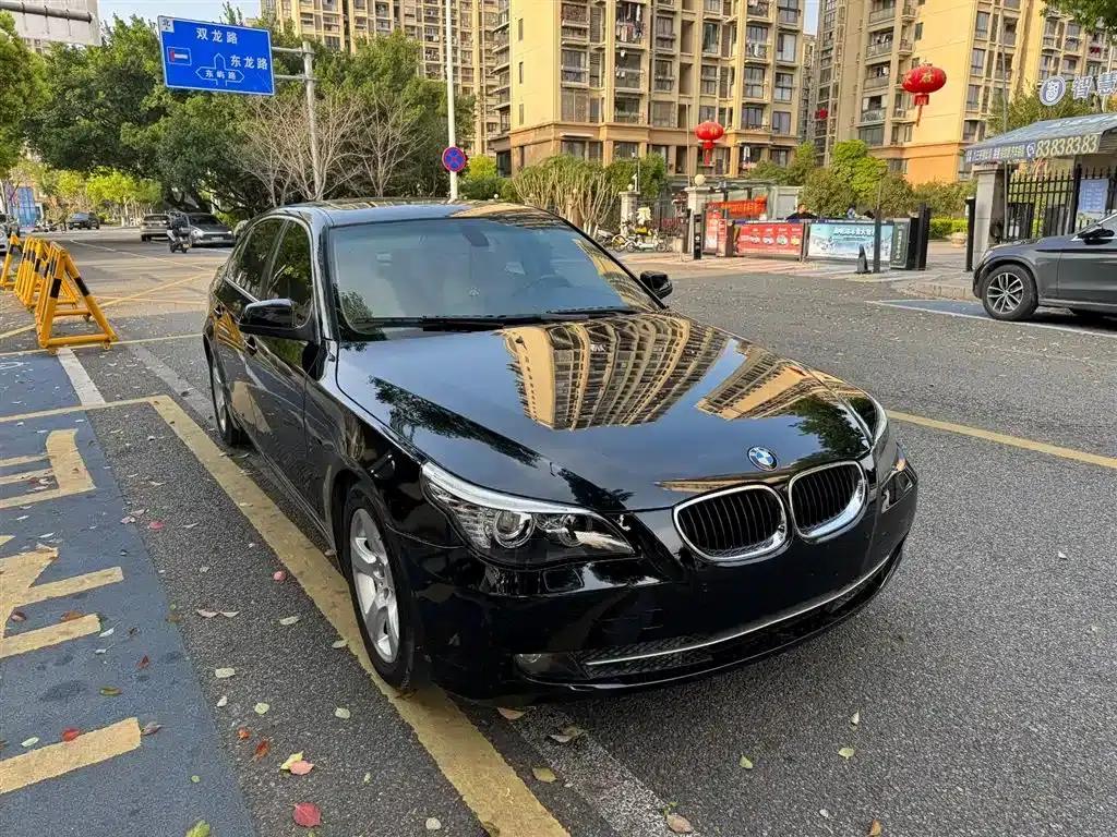 BMW 5 Series 2010 520Li Luxury — миниатюра 7
