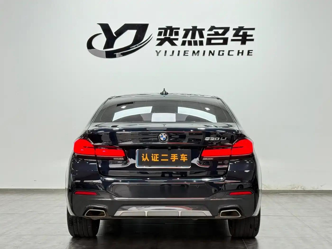 2021 BMW 5 Series Facelift 530Li Luxury M Sport Package — миниатюра 8