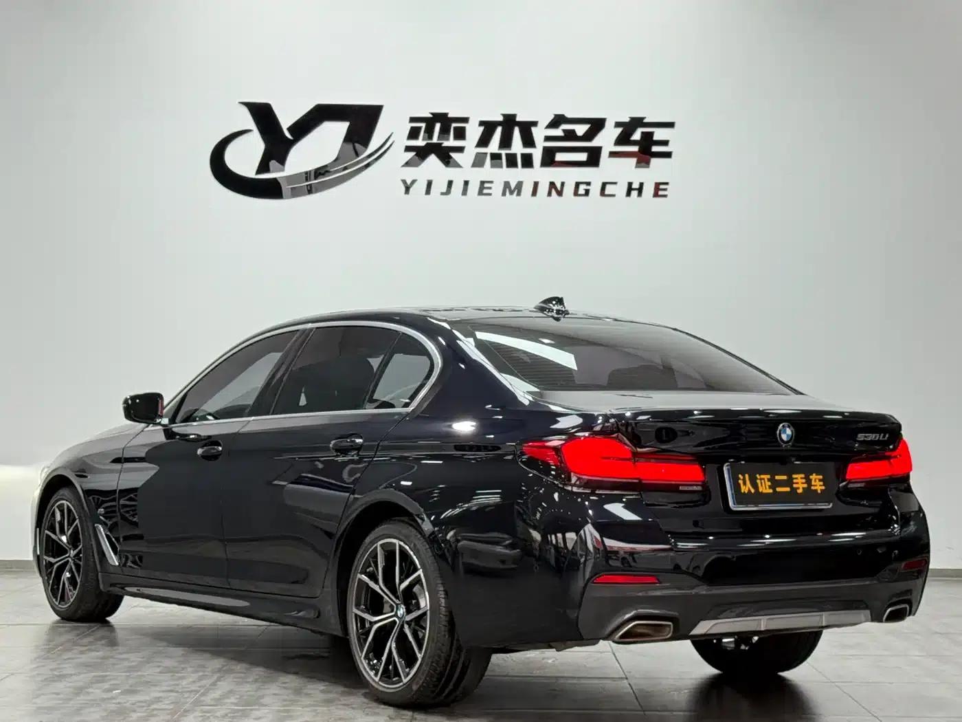 2021 BMW 5 Series Facelift 530Li Luxury M Sport Package — миниатюра 9