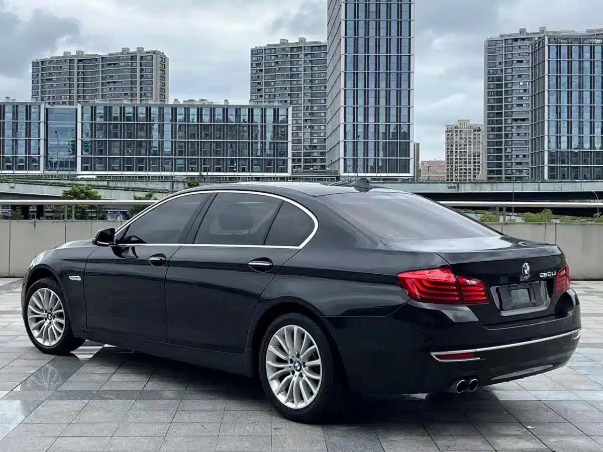 2014 BMW 5 Series 525Li Luxury Design Package — миниатюра 8