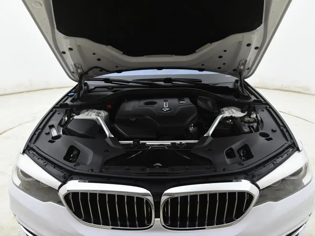 2018 BMW 5 Series Facelift 530Li Leading Luxury Package — миниатюра 15