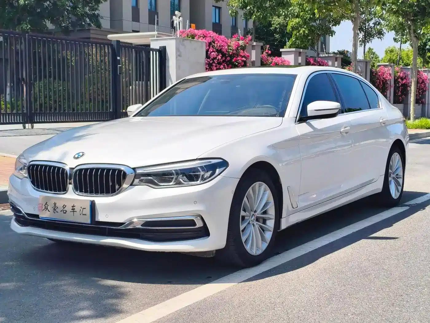 BMW 5 Series 2020 530Li Luxury Package — миниатюра 1