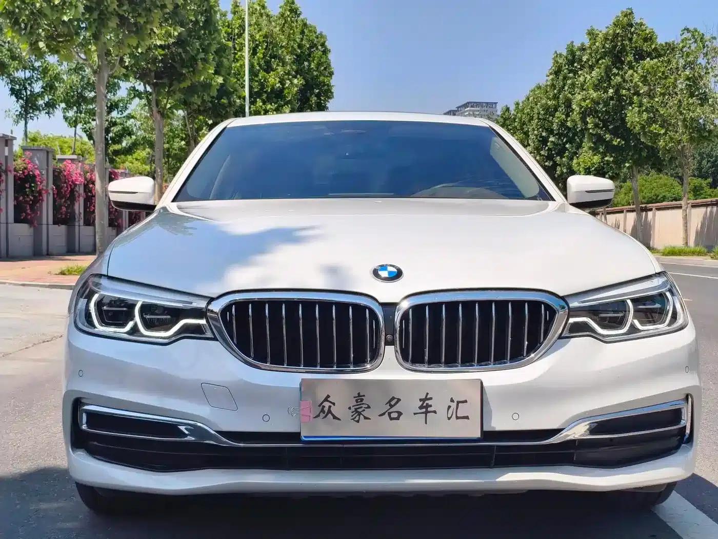 BMW 5 Series 2020 530Li Luxury Package — миниатюра 2