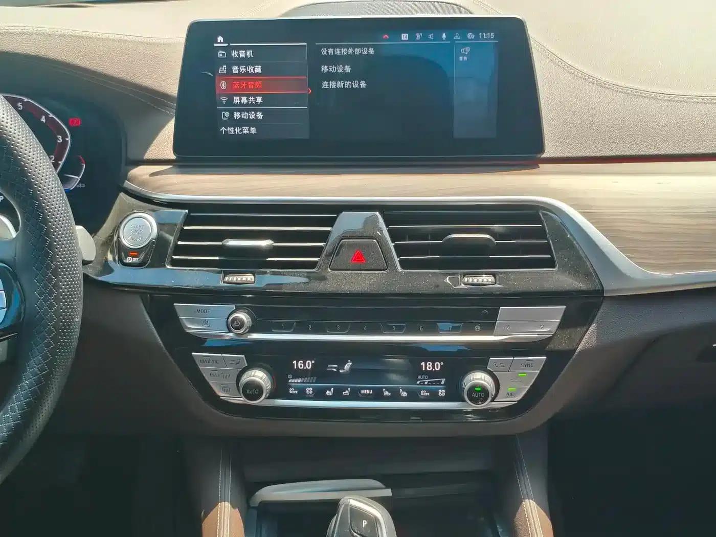 BMW 5 Series 2020 530Li Luxury Package — миниатюра 13