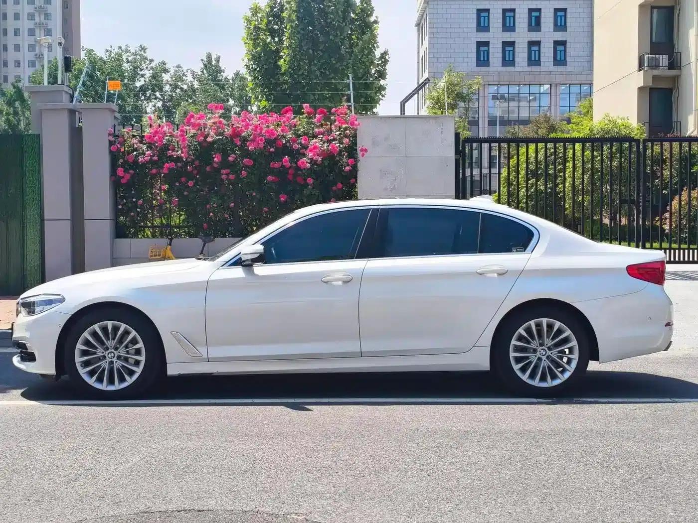 BMW 5 Series 2020 530Li Luxury Package — миниатюра 4