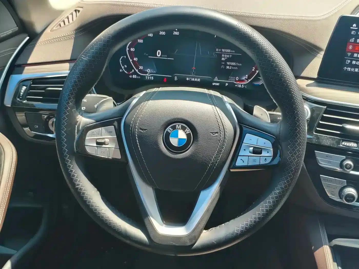 BMW 5 Series 2020 530Li Luxury Package — миниатюра 9