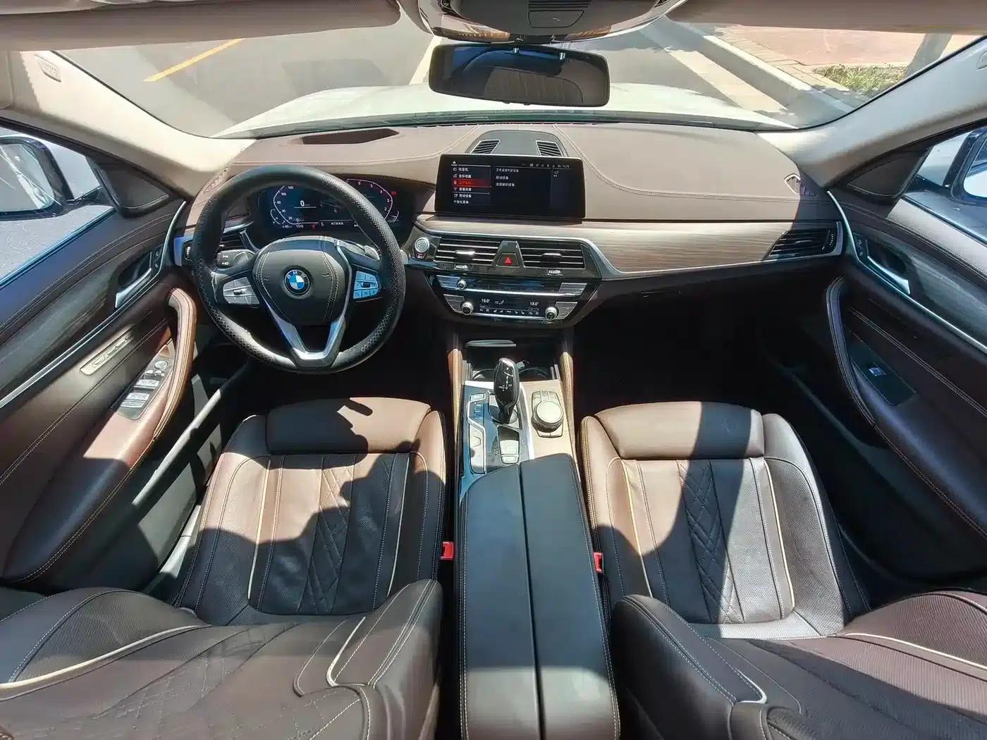 BMW 5 Series 2020 530Li Luxury Package — миниатюра 10