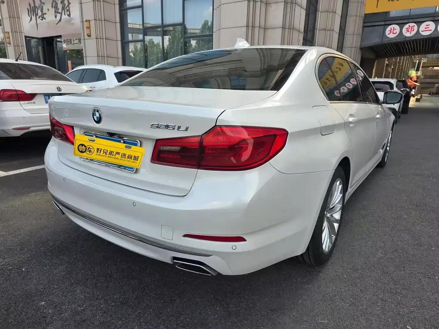 2020 BMW 5 Series 525Li Luxury Package — миниатюра 5