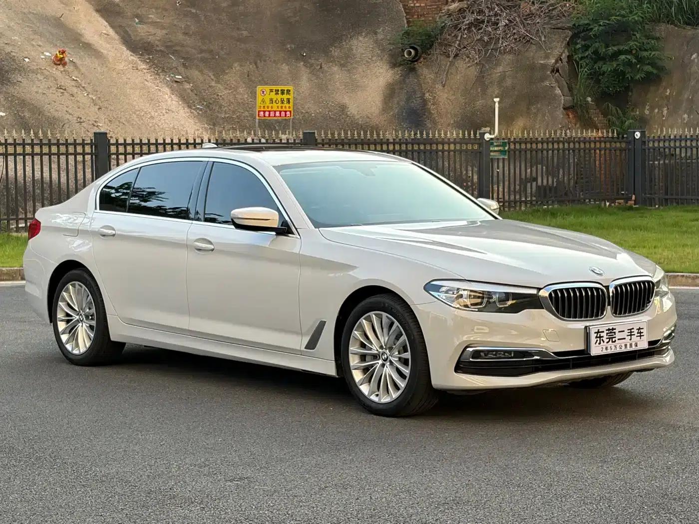 BMW 5 Series 2019 530Li Leading Luxury Package — миниатюра 2