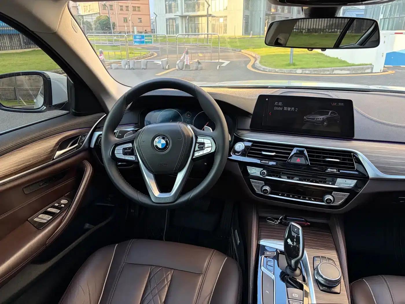 BMW 5 Series 2019 530Li Leading Luxury Package — миниатюра 13