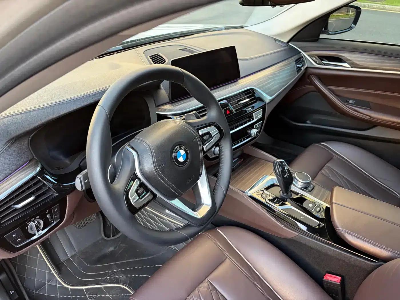 BMW 5 Series 2019 530Li Leading Luxury Package — миниатюра 8