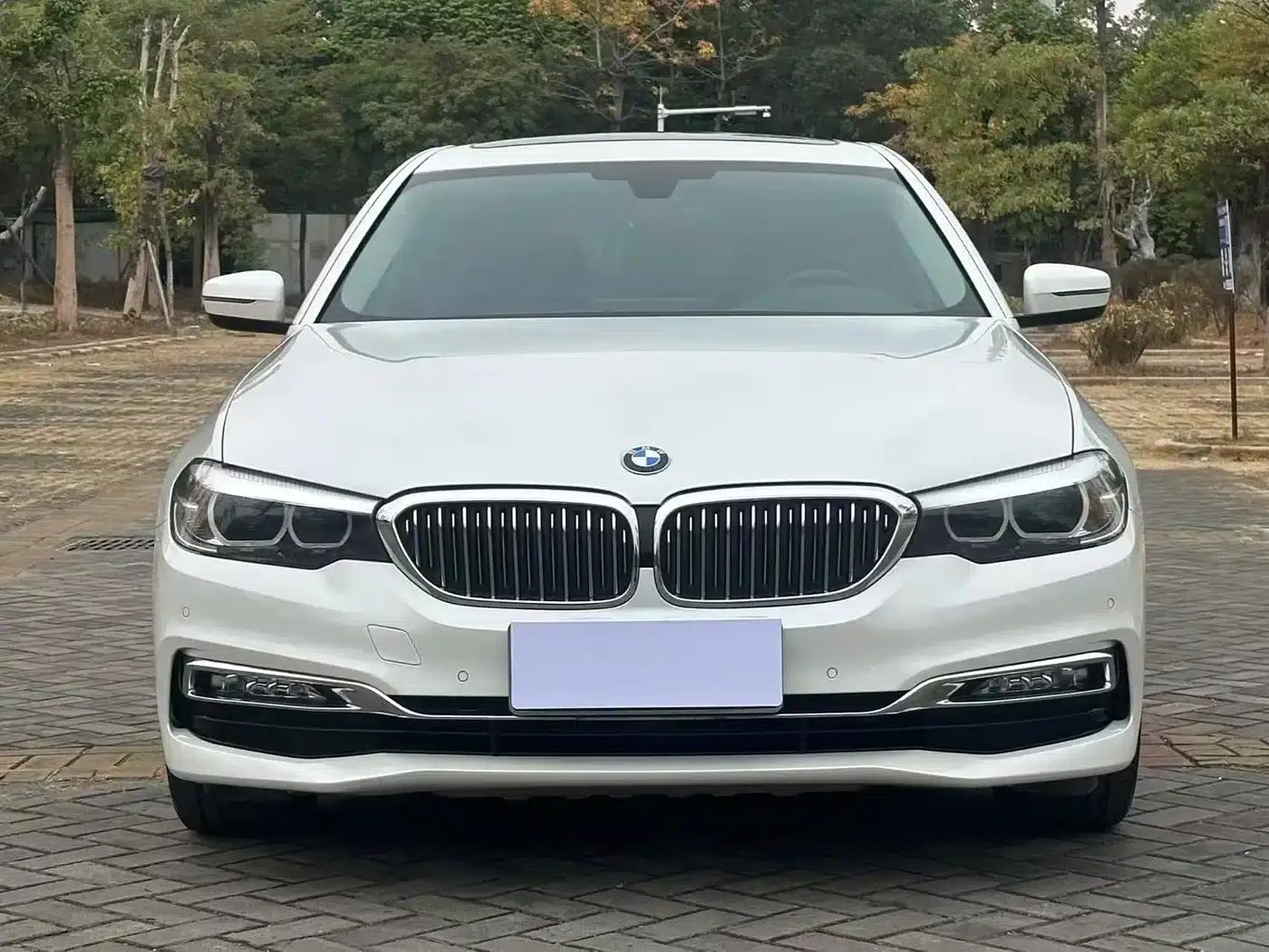 2018 BMW 5 Series 530Li xDrive M Sport Package — миниатюра 2