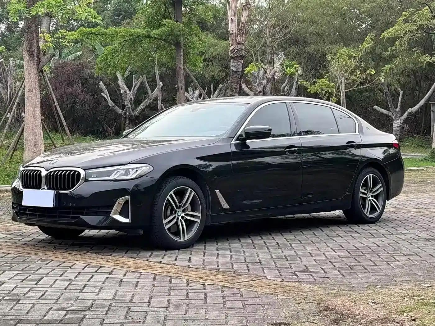 BMW 5 Series 2021 530Li Leading Luxury Package — миниатюра 1