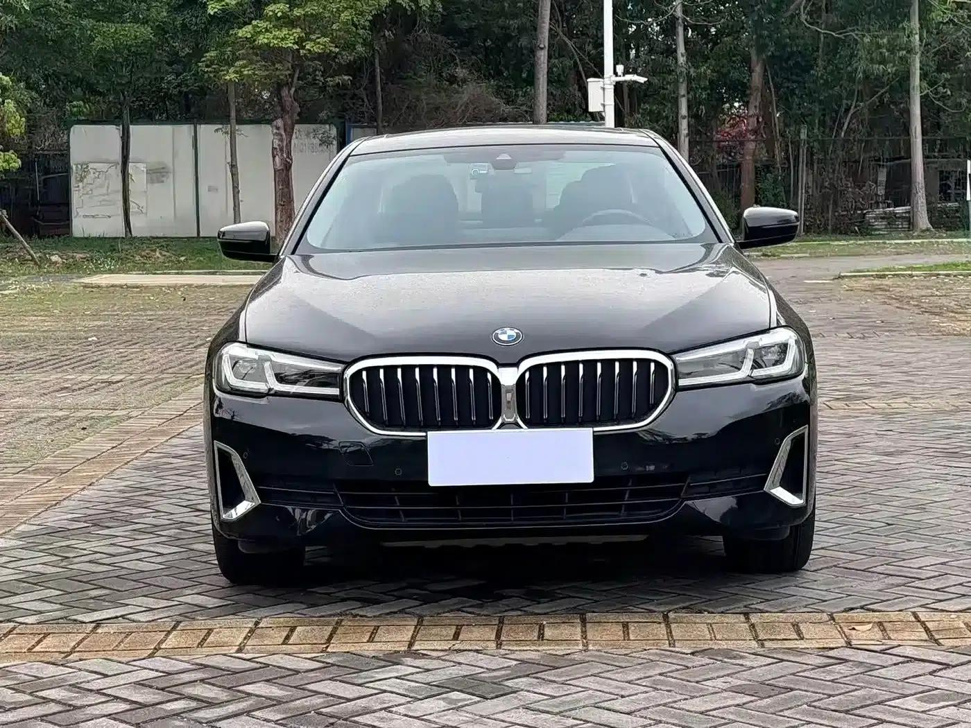 BMW 5 Series 2021 530Li Leading Luxury Package — миниатюра 2