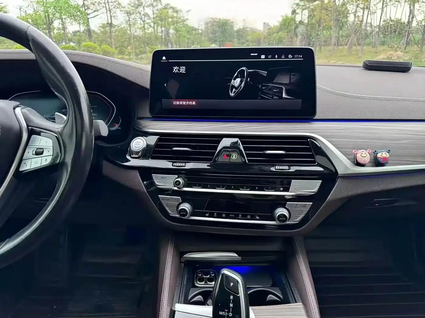 BMW 5 Series 2021 530Li Leading Luxury Package — миниатюра 13