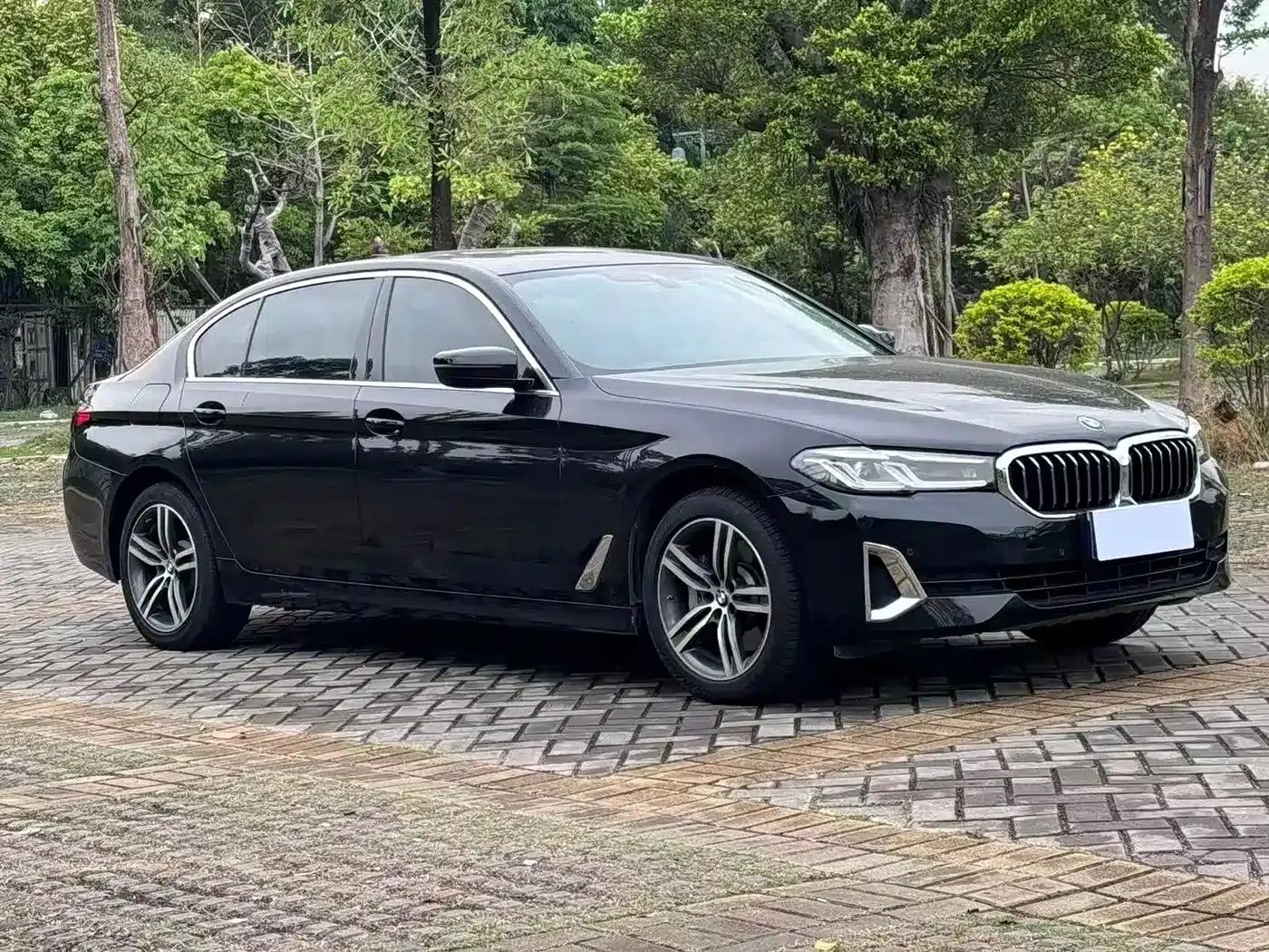 BMW 5 Series 2021 530Li Leading Luxury Package — миниатюра 3