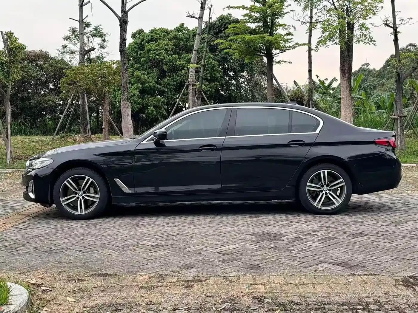 BMW 5 Series 2021 530Li Leading Luxury Package — миниатюра 5