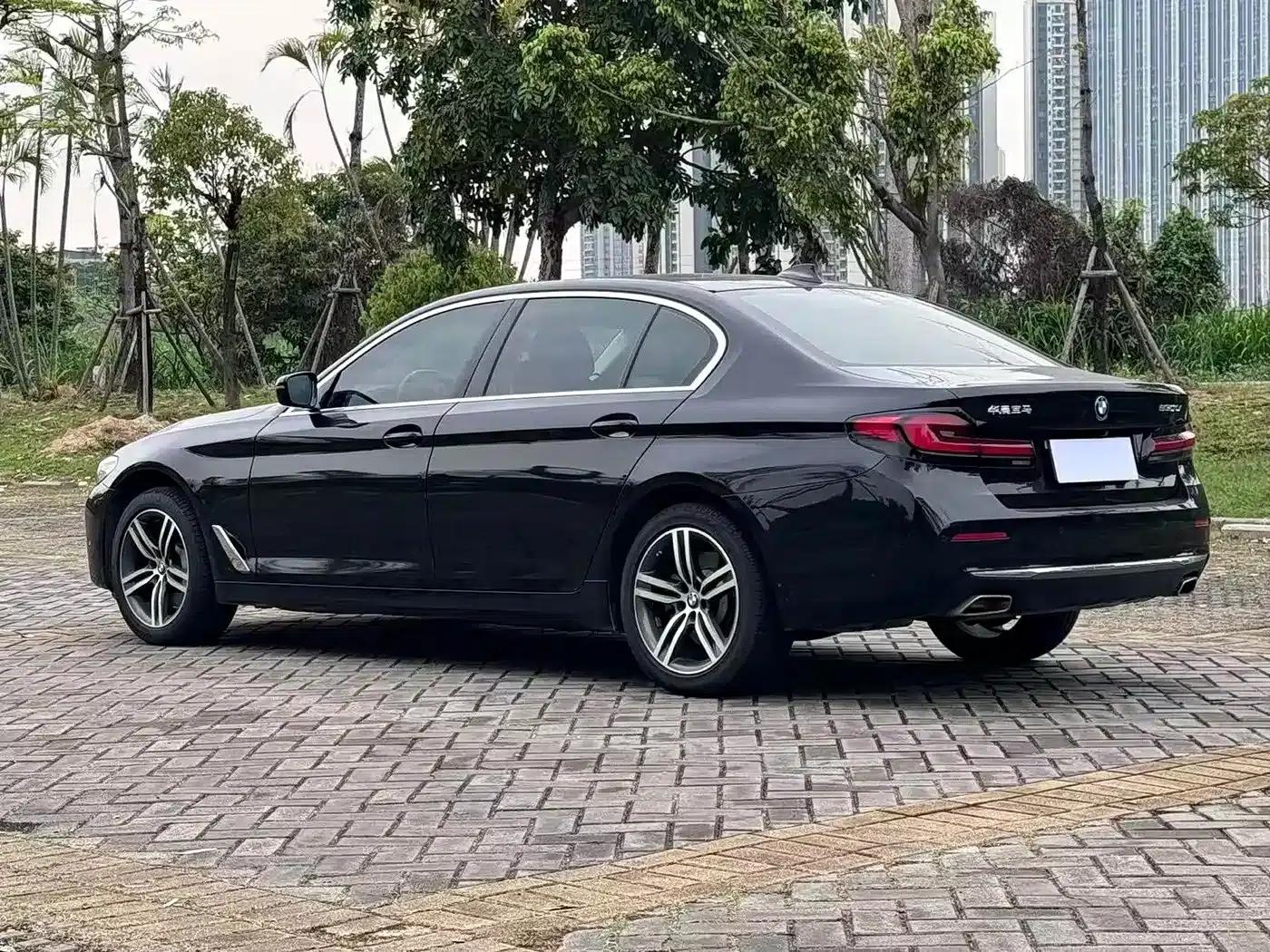 BMW 5 Series 2021 530Li Leading Luxury Package — миниатюра 6