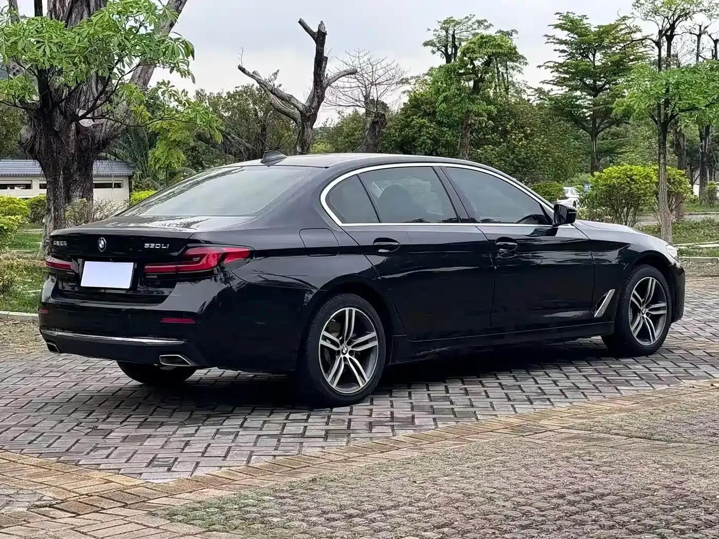 BMW 5 Series 2021 530Li Leading Luxury Package — миниатюра 8