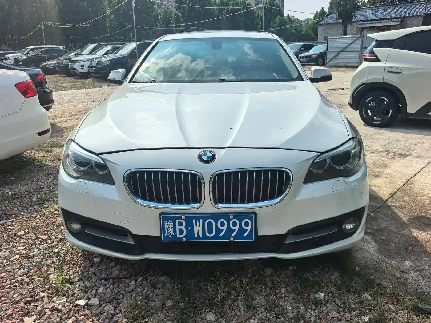 BMW 5 Series 2013 530Li Leading Edition — миниатюра 8