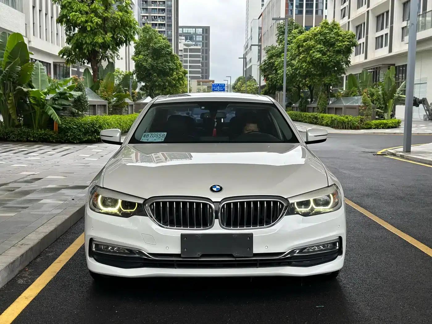 2018 BMW 5 Series 530Li Leading Luxury Package — миниатюра 2