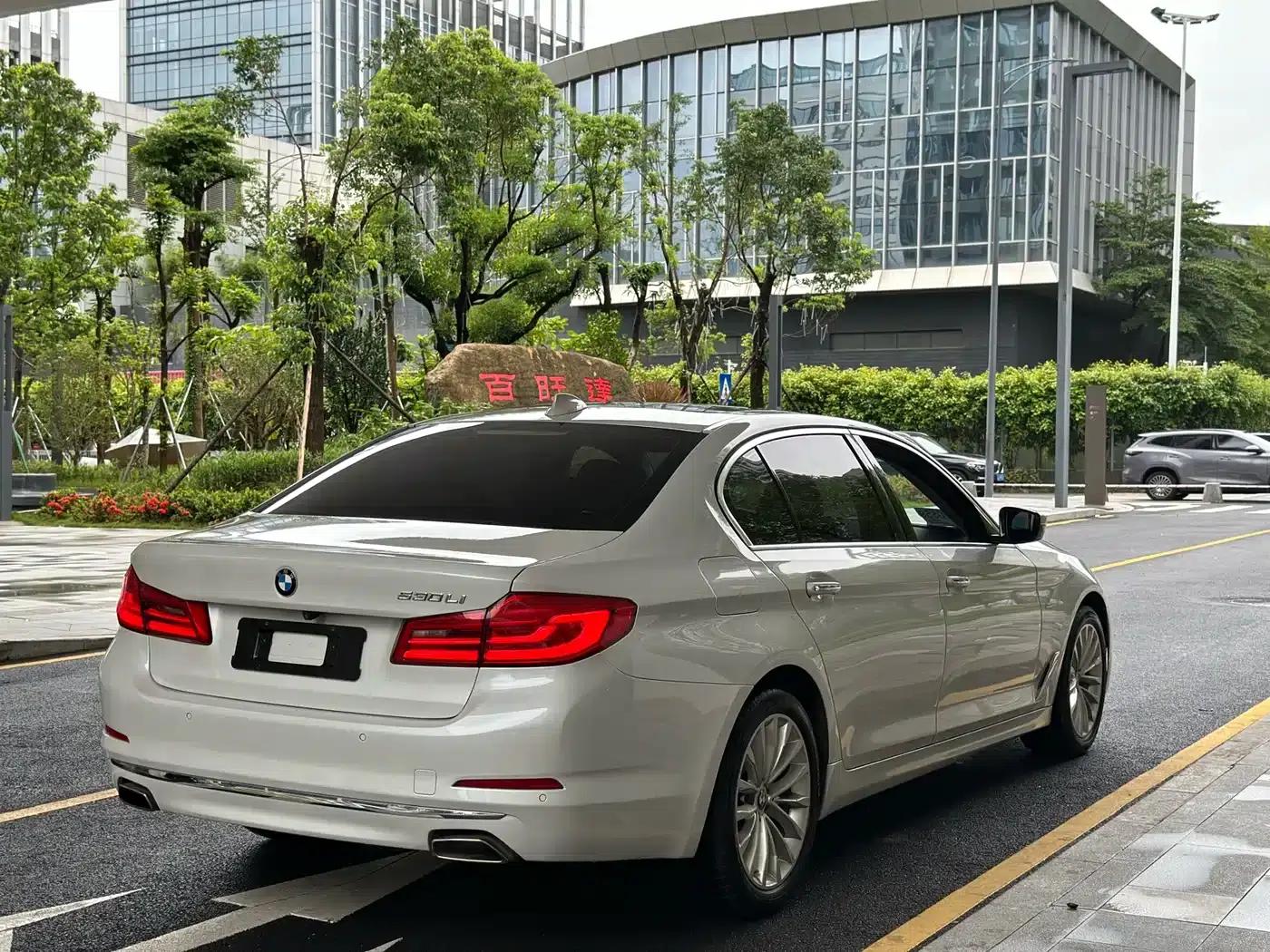2018 BMW 5 Series 530Li Leading Luxury Package — миниатюра 8