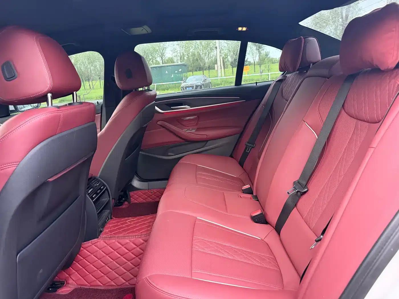 2022 BMW 5 Series 530Li Leading Luxury Package — миниатюра 5