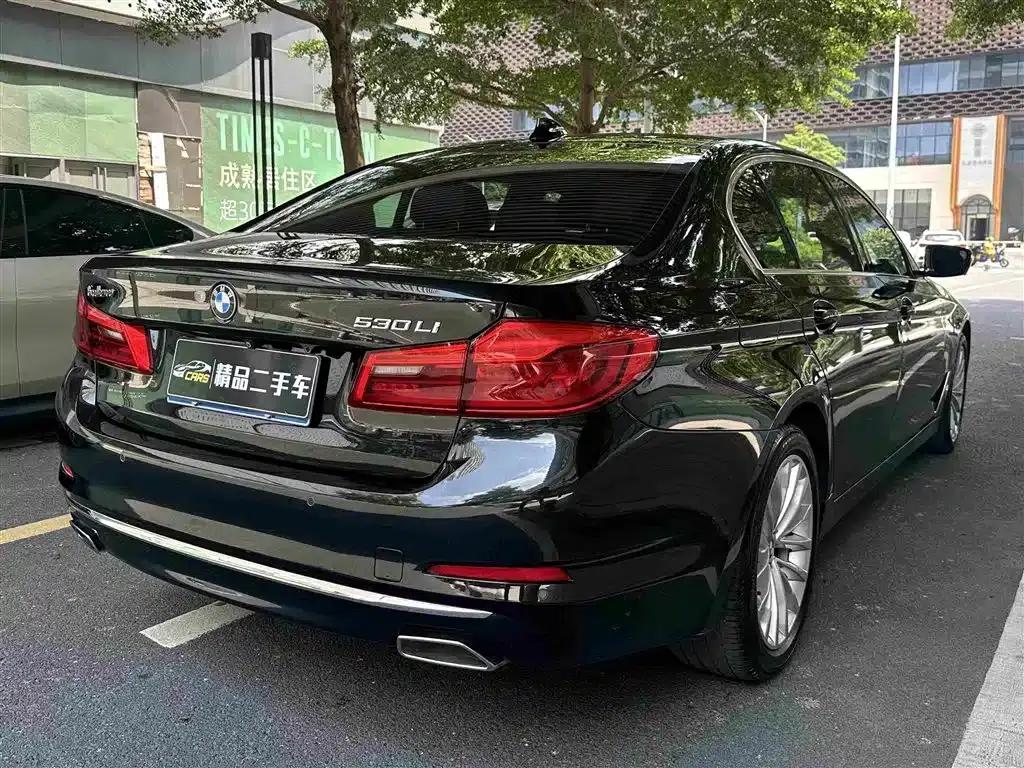 BMW 5 Series 2019 530Li Leading Luxury Package — миниатюра 7