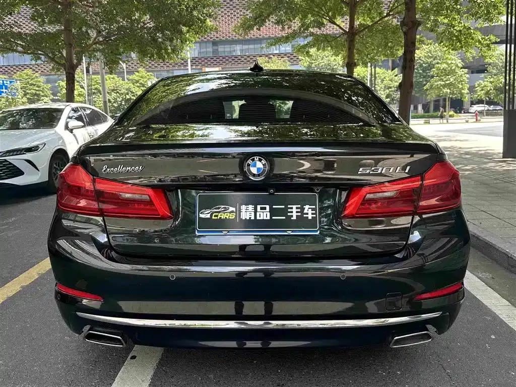 BMW 5 Series 2019 530Li Leading Luxury Package — миниатюра 8