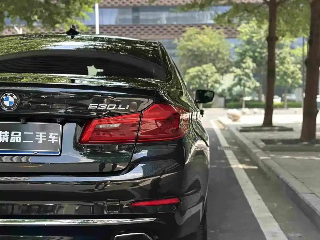 BMW 5 Series 2019 530Li Leading Luxury Package — миниатюра 10