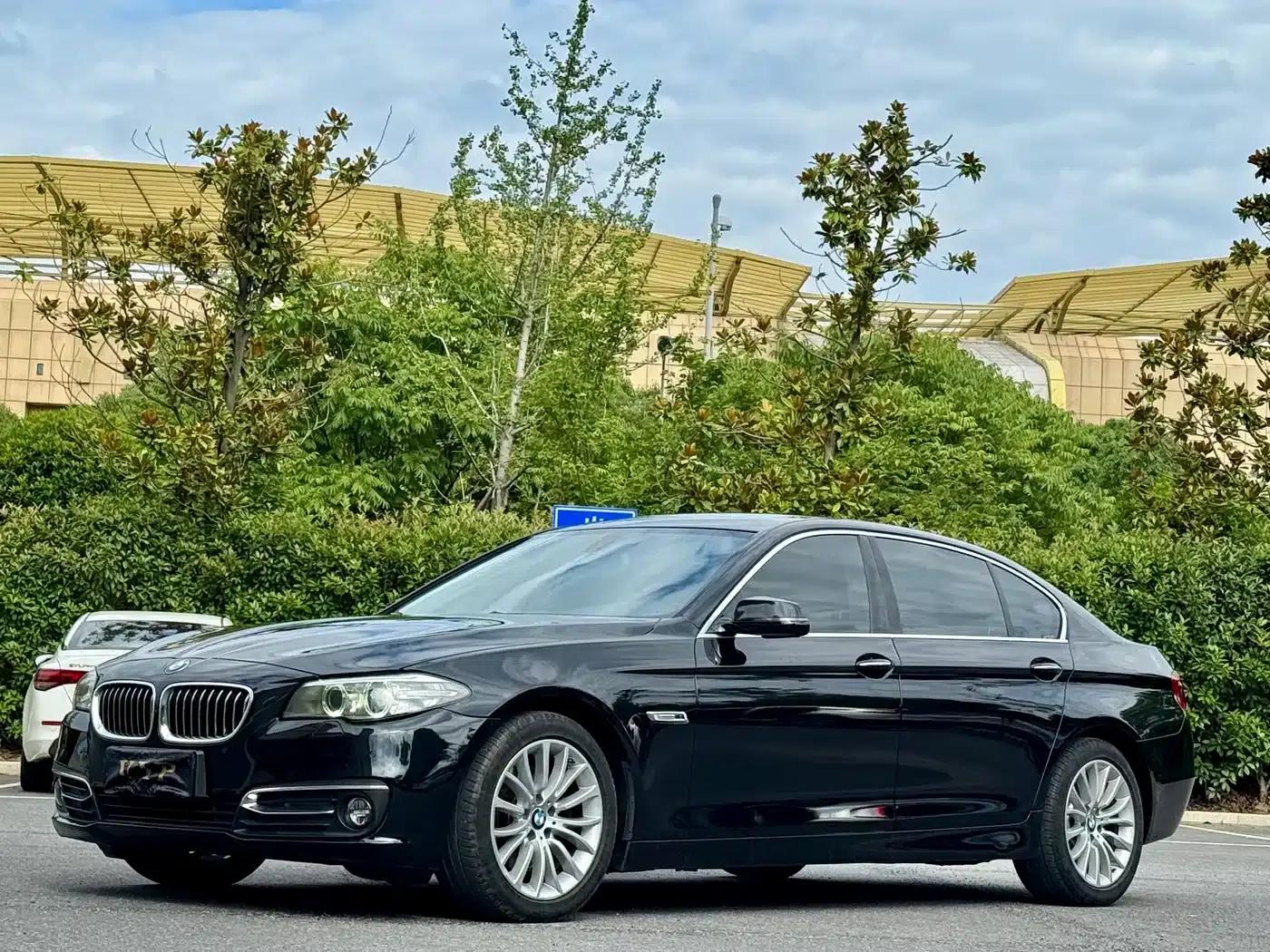 2014 BMW 5 Series 525Li Luxury Design Package — миниатюра 1