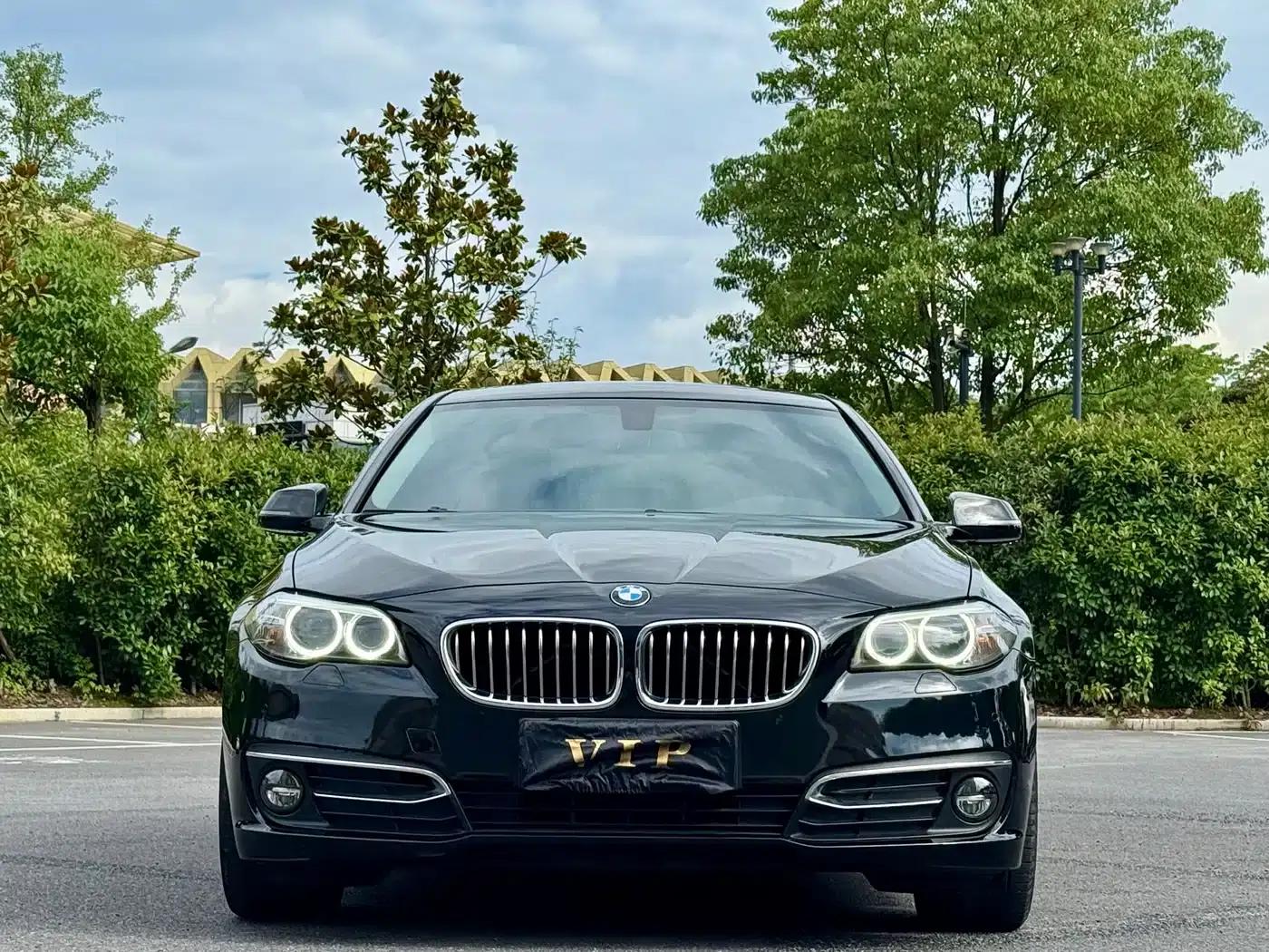 2014 BMW 5 Series 525Li Luxury Design Package — миниатюра 2