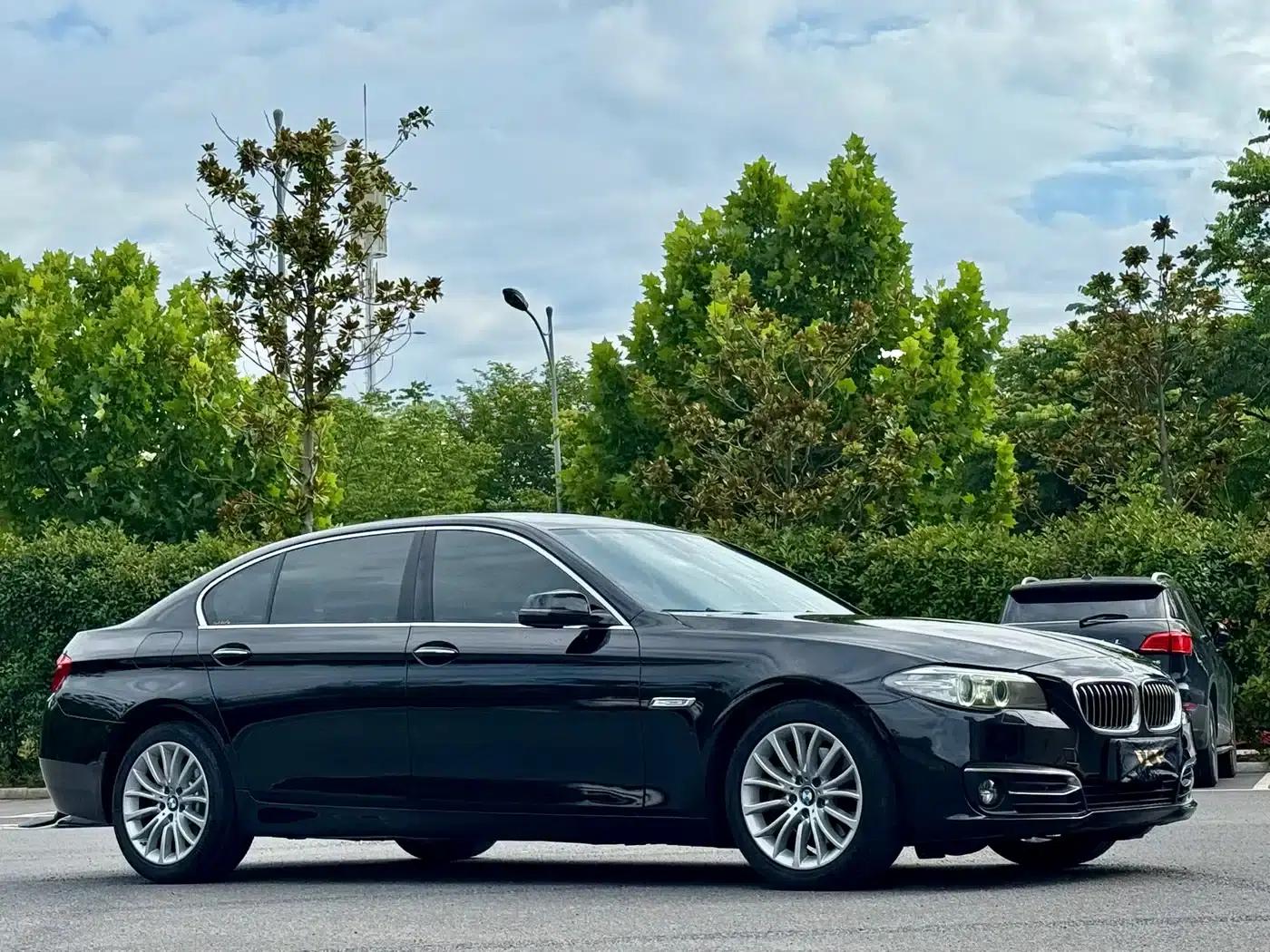 2014 BMW 5 Series 525Li Luxury Design Package — миниатюра 3