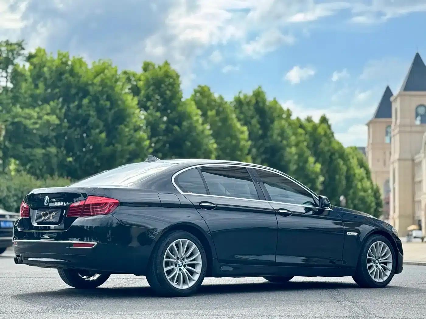 2014 BMW 5 Series 525Li Luxury Design Package — миниатюра 7