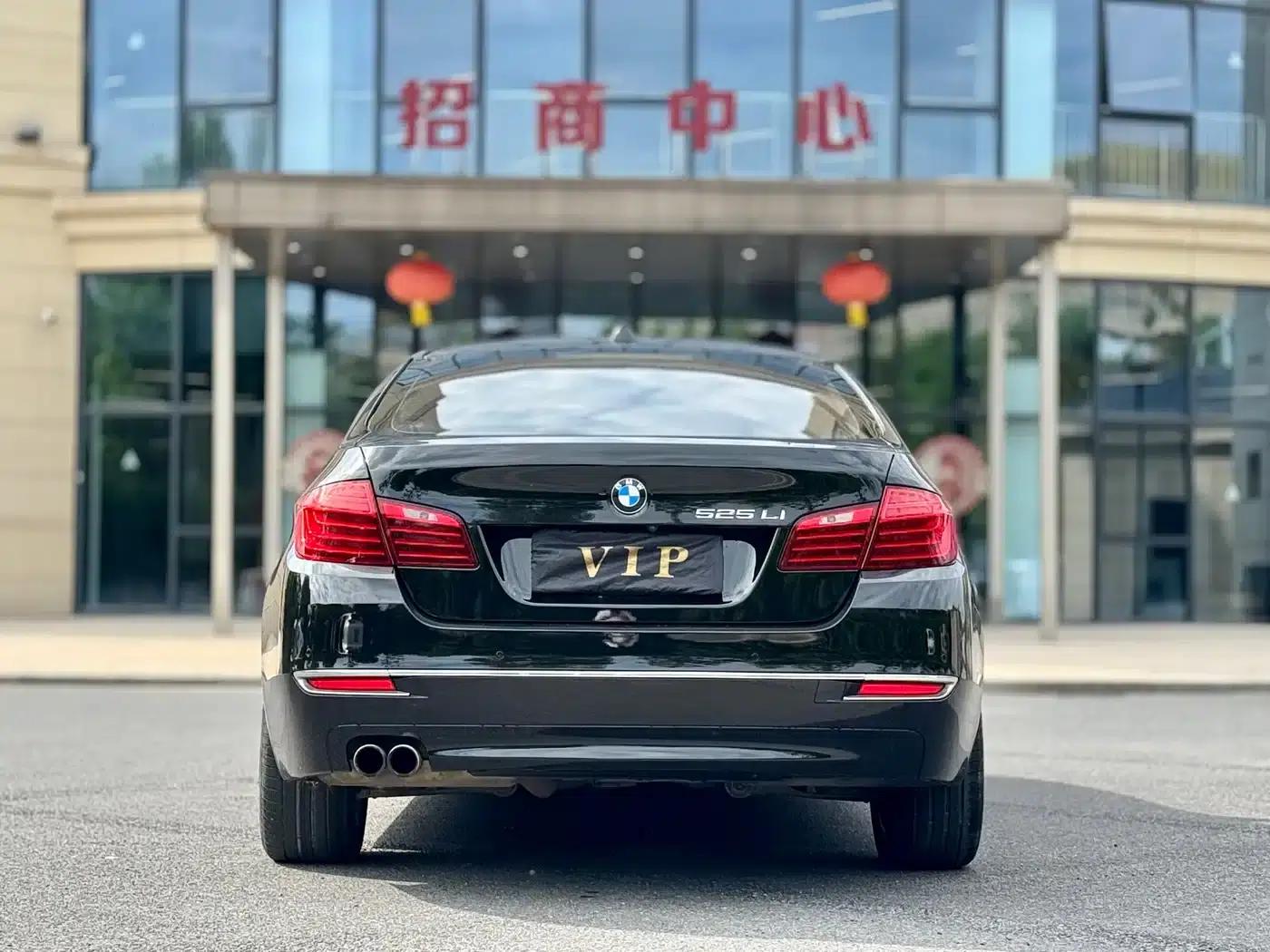 2014 BMW 5 Series 525Li Luxury Design Package — миниатюра 8