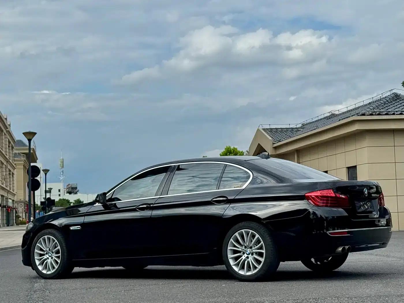 2014 BMW 5 Series 525Li Luxury Design Package — миниатюра 9
