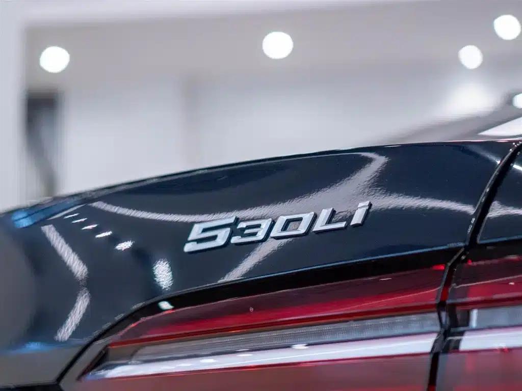 2024 BMW 5 Series 530Li Leading Edition M Sport Package — миниатюра 11
