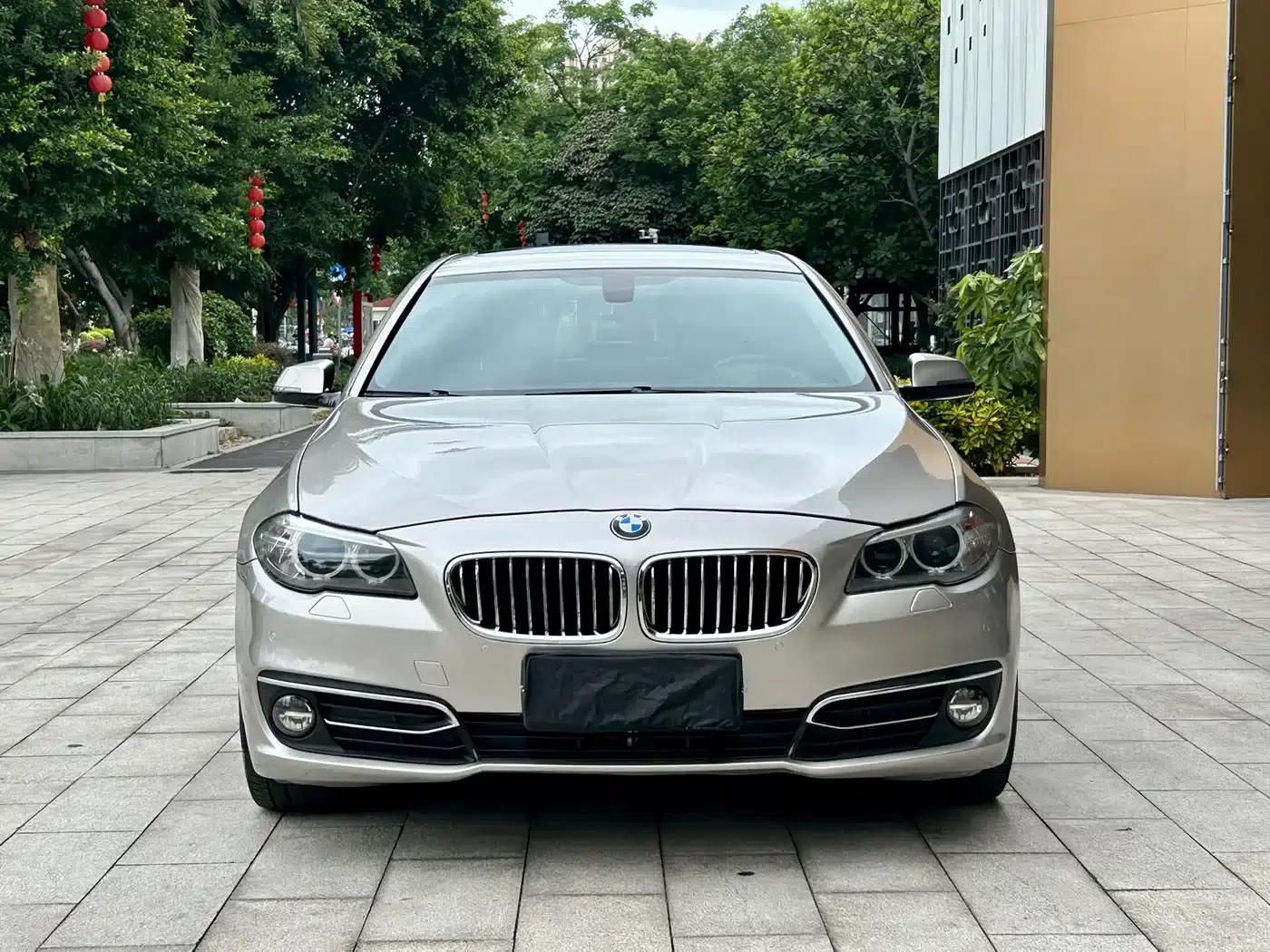 2014 BMW 5 Series 525Li Luxury Design Package — миниатюра 2